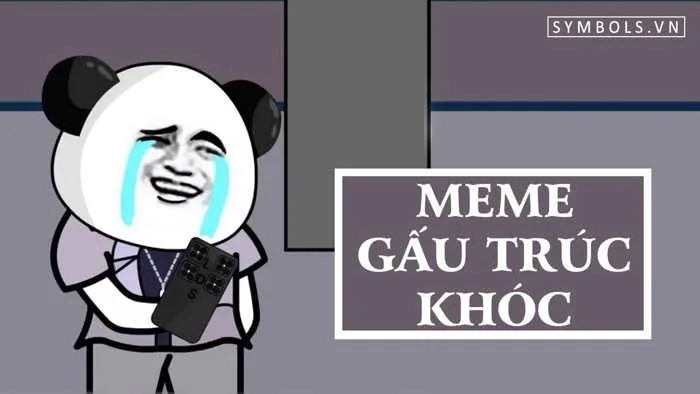 Meme Gấu Trúc Khóc Cute [39+ Hình Dễ Thương Nhất]