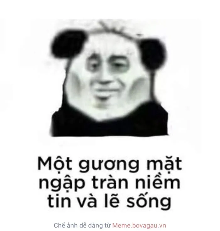 Meme Gấu Trúc là gì? Tại sao Meme Gấu Trúc lại được yêu thích? Tổng hợp Meme Gấu Trúc hài hước và thú vị nhất cho nhà đầu tư Meme Gấu Trúc là gì? Tại sao Meme Gấu Trúc lại được yêu thích? Tổng hợp Meme Gấu Trúc hài hước và thú vị nhất cho nhà đầu tư