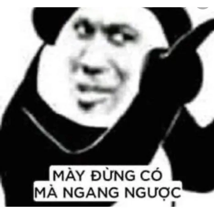 Meme gấu trúc Meme gấu trúc