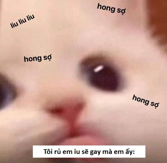 Tuyển chọn 769+ ảnh meme sẽ gầy bao hài, vui nhộn, hot trend