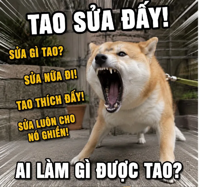 144+ Meme Chó Sủa, chó cắn bá đạo cười không phanh
