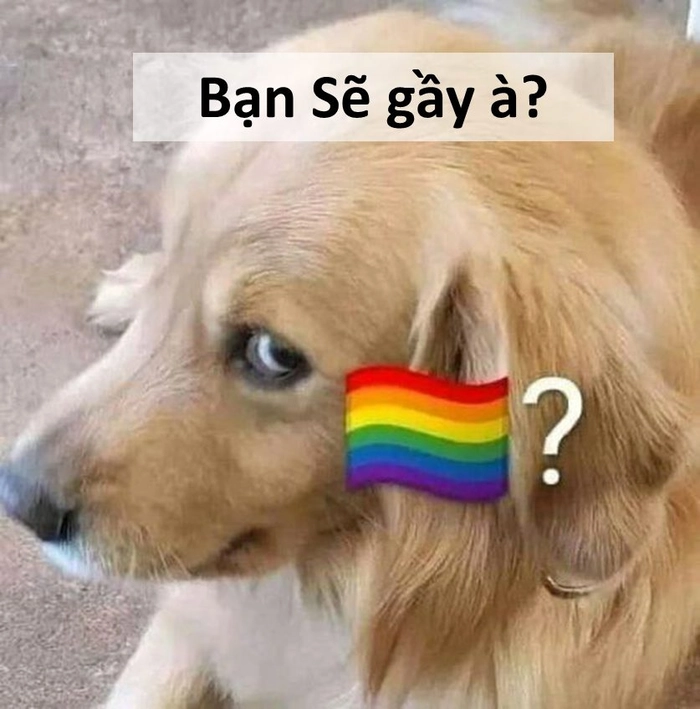 Tuyển chọn 769+ ảnh meme sẽ gầy bao hài, vui nhộn, hot trend - Avatar Mới