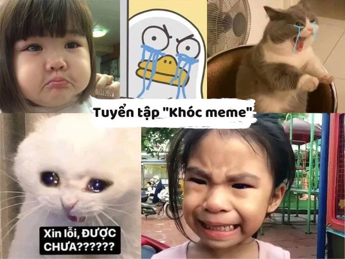 Tuyển tập 99+ ảnh khóc meme hài hước cười ra nước mắt | Yody