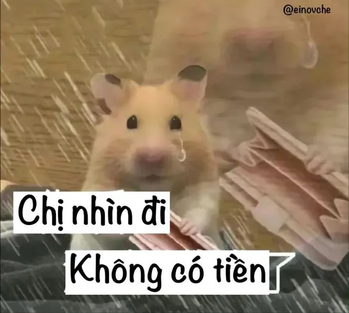 Tổng hợp meme nghèo, meme hết tiền hài hước, vui nhộn