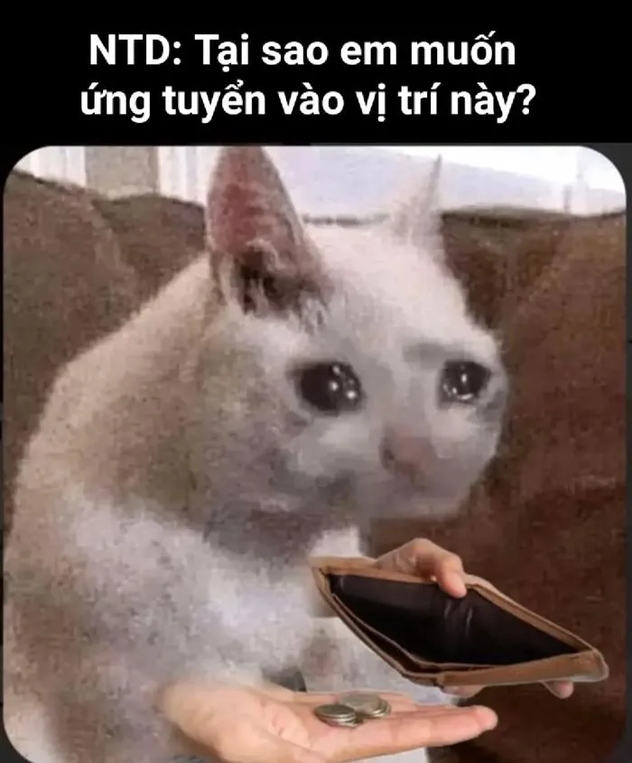 Tổng hợp meme nghèo, meme hết tiền hài hước, vui nhộn