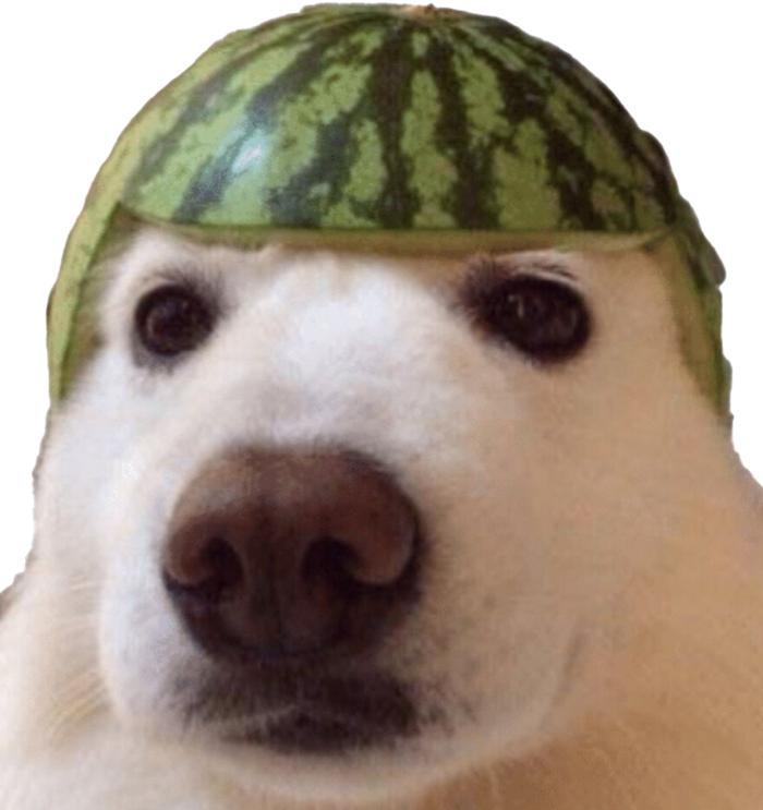Download Free Meme Dank Free Download PNG HQ ICON favicon | FreePNGimg