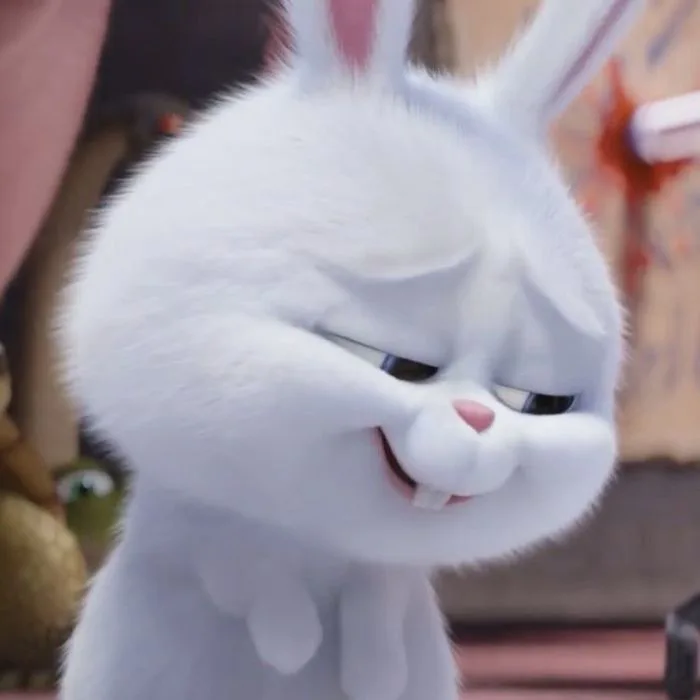 Tổng hợp những meme khinh bỉ độc đáo