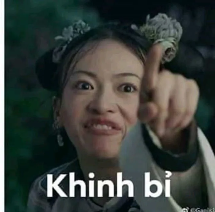 Ảnh chú hề | Hài hước về mèo, Ảnh hài hước nhất, Meme khinh bỉ