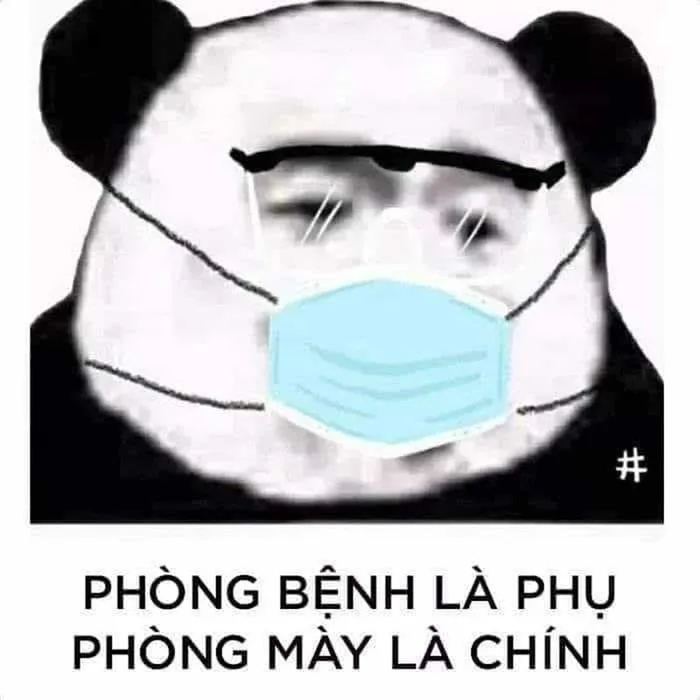 Những bức ảnh khinh người đầy vui vẻ và hài hước