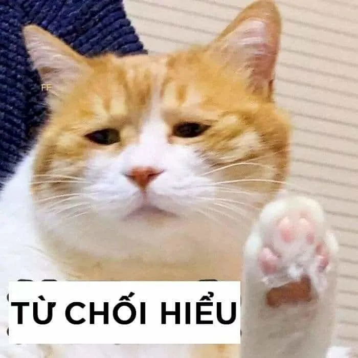 Meme Khó Hiểu Siêu Hài [Ảnh Mặt Mèo Khó Hiểu, Anh Da Đen, Chó]