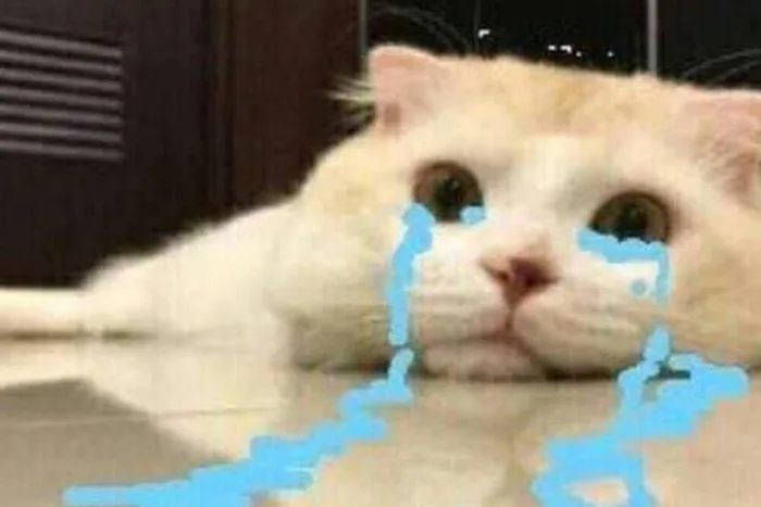 Tổng hợp các meme khóc siêu độc đáo và hài hước