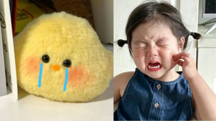 Lưu ngay bộ sưu tập 100+ ảnh meme khóc hài hước, cực viral