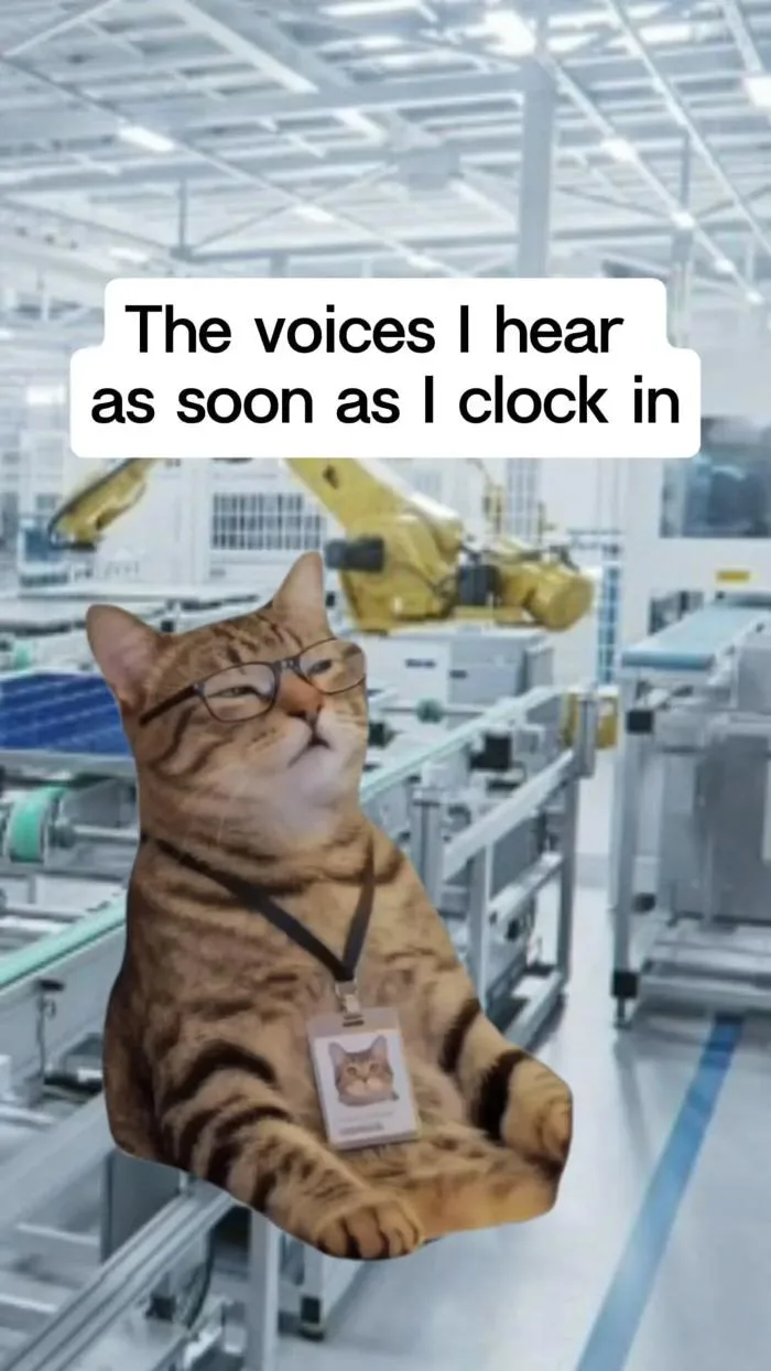 r/Memes the original since 2008
