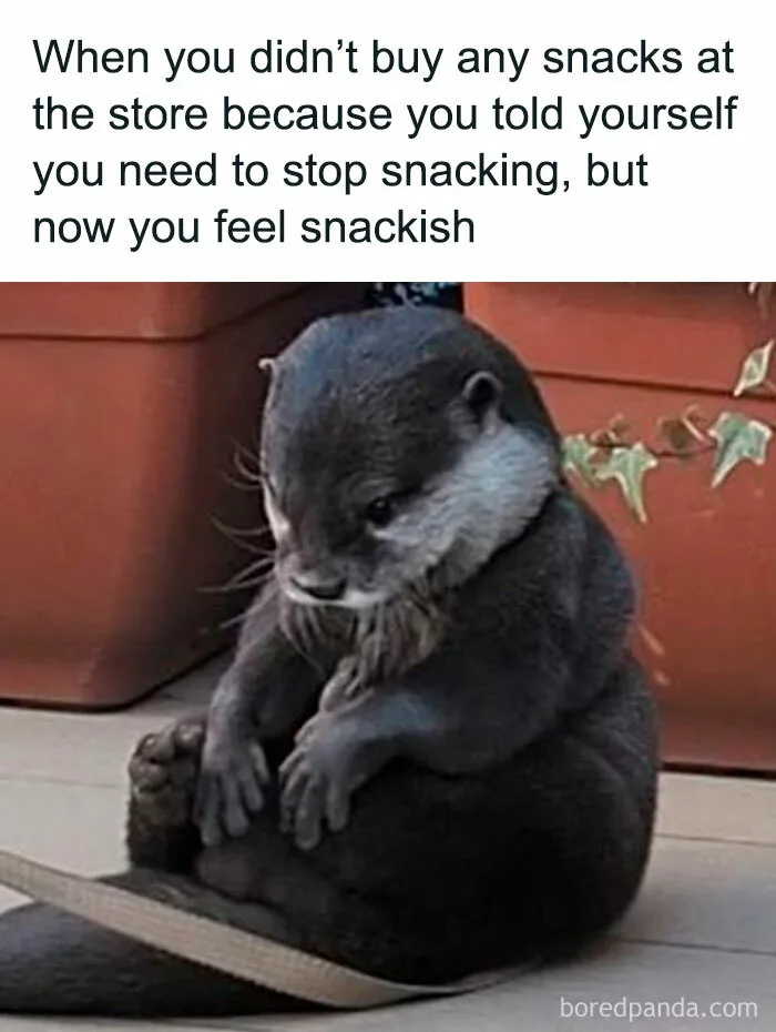 50 Memes To Help You Cope With Reality With Humor | Bored Panda