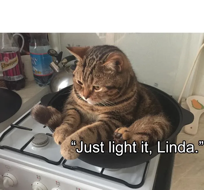 Just Light It, Linda / Depressed Cat In Pot On Stove HD Templates 1600x1488  : r/MemeRestoration