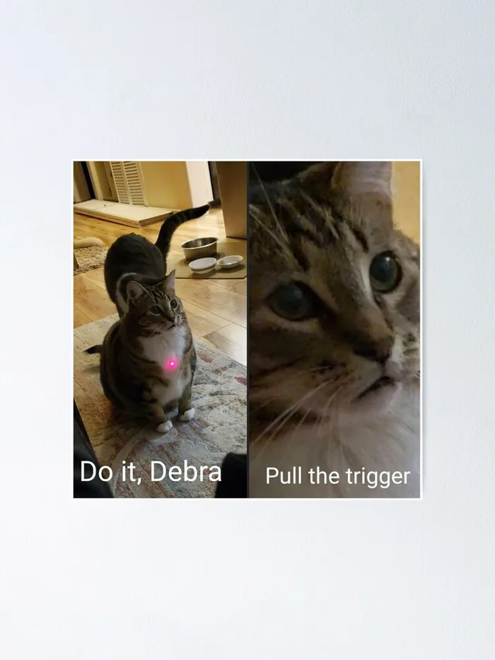 HD Do it Debra, Pull the Trigger - Funny Cat Meme Image