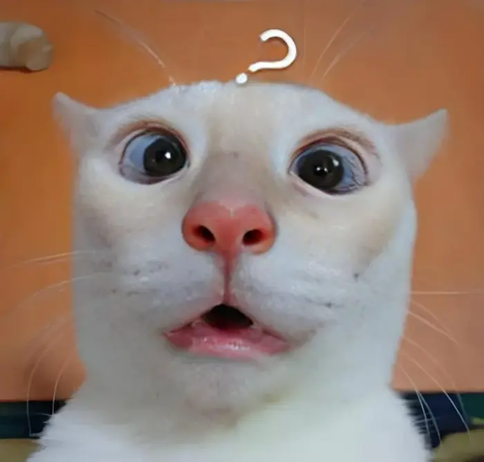 97+ Meme Ngạc Nhiên Lầy Lội Khiến Dân Tình Cười Nghiêng Ngả