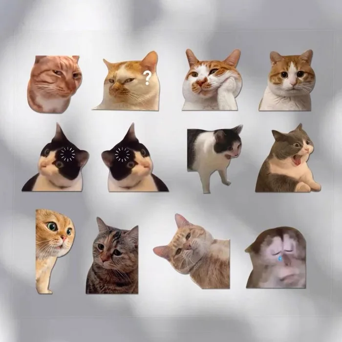 Mèo MEME dễ thương và hài hước với biểu cảm ngạc nhiên. Chúng có thiết kế  chống nước và phù hợp để sử dụng trên ô tô, máy tính xách tay, v.v. |