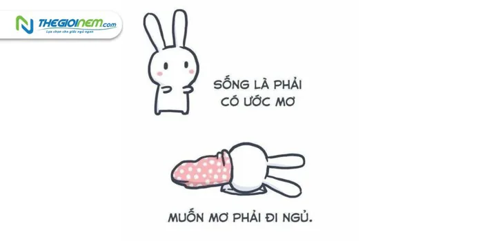 Top 20+ ảnh meme chúc ngủ ngon độc đáo