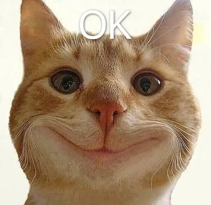 Tổng hợp ảnh ok meme hài hước khiến bạn bật cười cả ngày Tổng hợp ảnh ok meme hài hước khiến bạn bật cười cả ngày