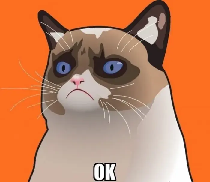 Tổng hợp meme ok siêu đáng yêu, dễ thương và cực kỳ hài hước Tổng hợp meme ok siêu đáng yêu, dễ thương và cực kỳ hài hước