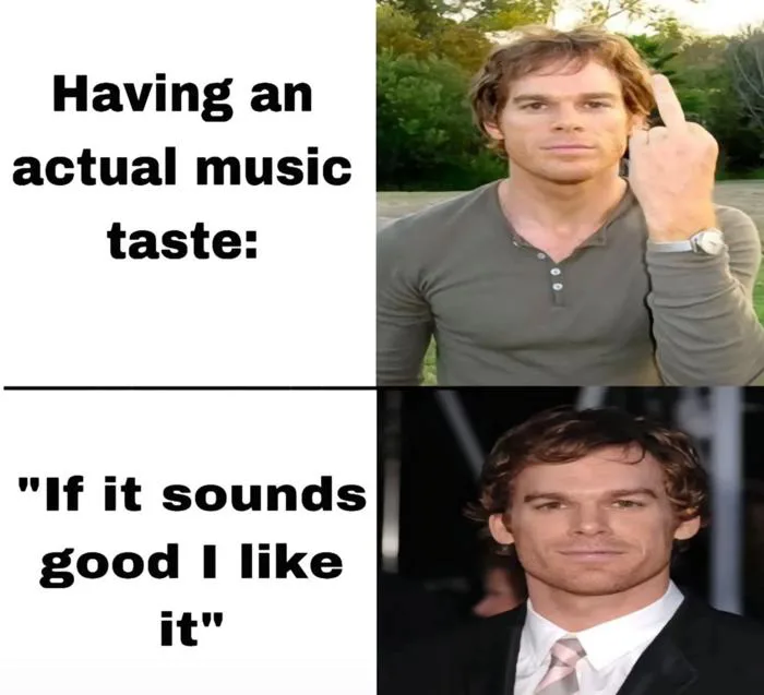 if it sounds good i like it. : r/memes