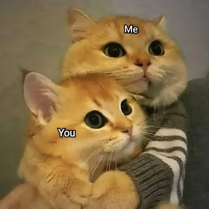 100+ Hình meme tình yêu dễ thương, cute dành cho các cặp đôi