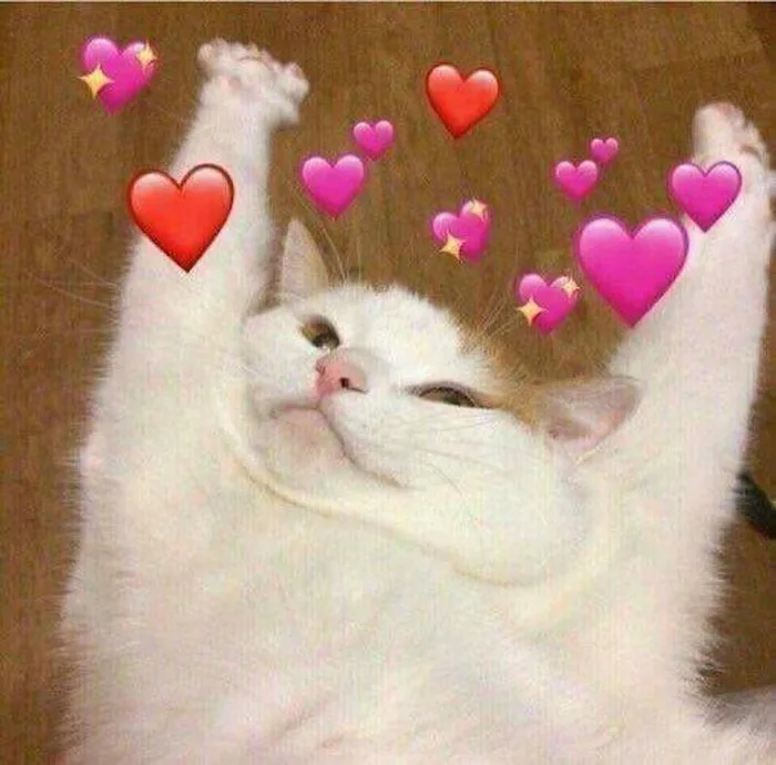 Tổng Hợp 999+ Meme Tình Yêu Dễ Thương, Cute Nhất 2026