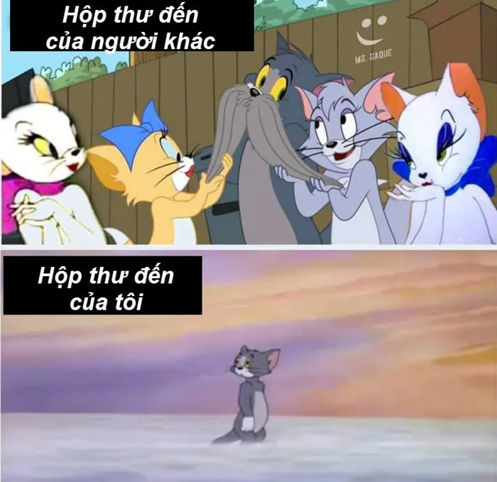 Tổng hợp meme Tom and Jerry hài hước
