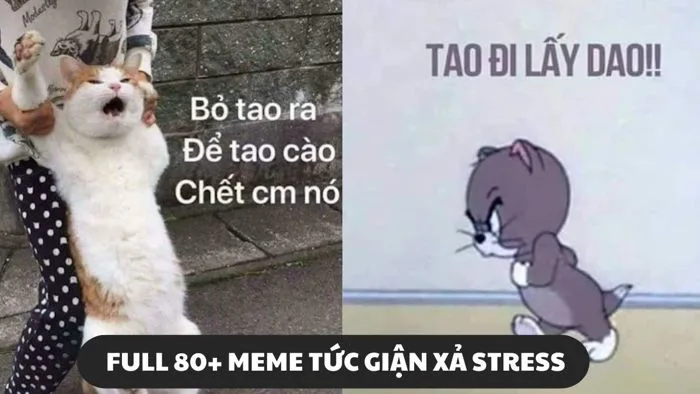Full 80+ meme tức giận cute, dễ thương, hung dữ chế cực vui