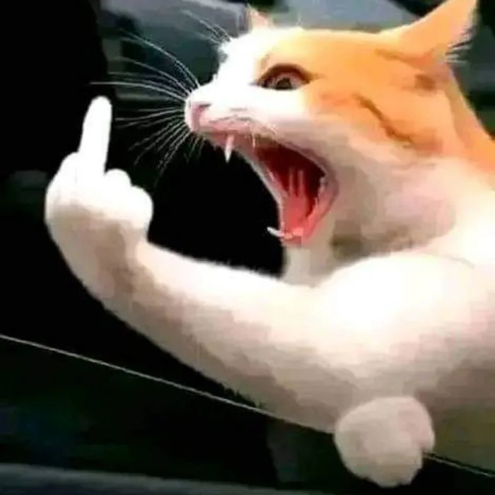 Tổng hợp bộ ảnh meme tức giận cute hài hước nhất mạng xã hội