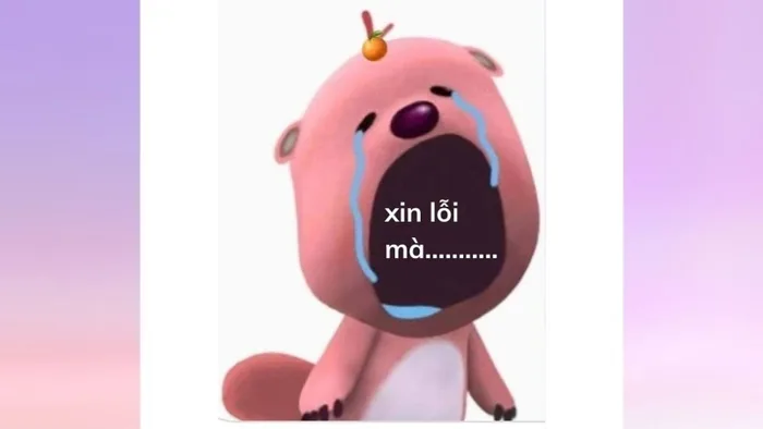 Meme xin lỗi được yêu thích nhất để xin tha thứ một cách đáng yêu