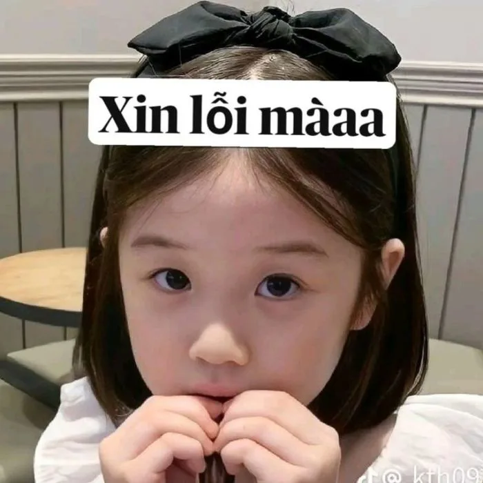 49+ ảnh meme xin lỗi cực hài hước khiến ai xem cũng mủi lòng
