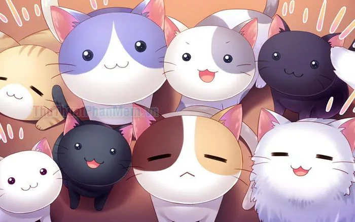 Mèo chibi mập mạp đáng yêu, ngộ nghĩnh