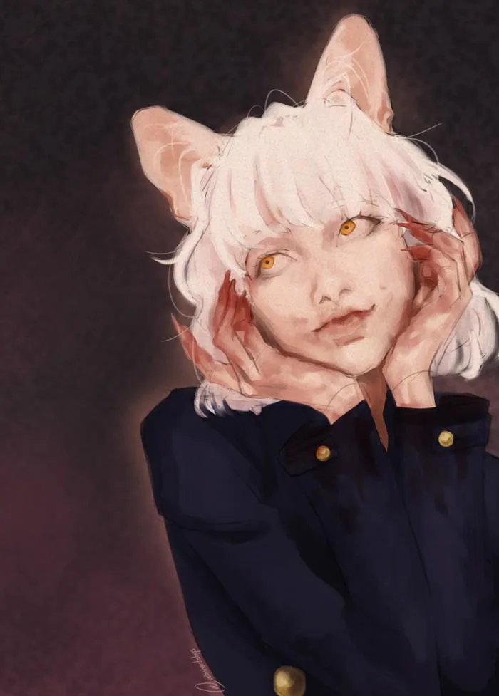 neferpitou : r/HunterXHunter