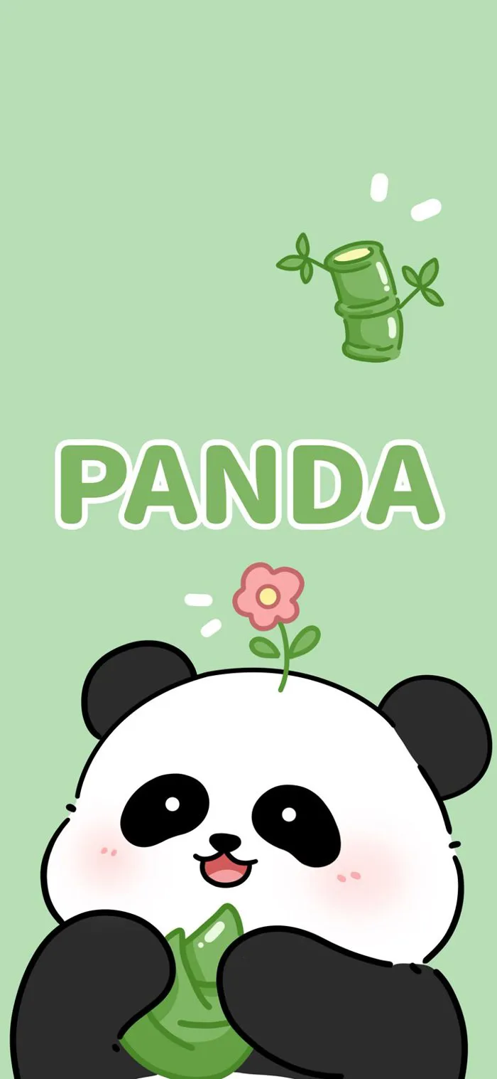 Gấu trúc yêu thương | Hình gấu trúc dễ thương, Ảnh gấu trúc cute chibi, Hình