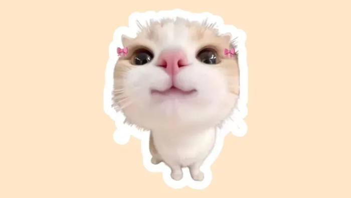 60+ Mẫu Sticker Mèo Cute, Hình Con Mèo Dễ Thương Chibi