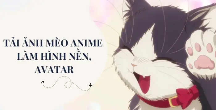 Avatar Mèo Cute Chibi: Tuyển Tập Hình Nền Độc Đáo Cho Năm 2026