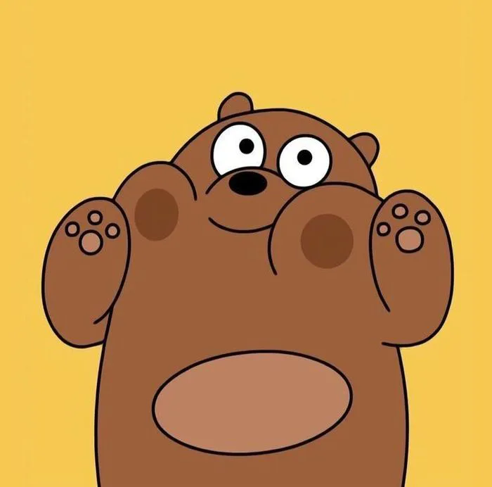 Những avatar gấu đáng yêu, ngộ nghĩnh và cực kỳ dễ thương, mang đến vẻ đẹp tuyệt vời nhất
