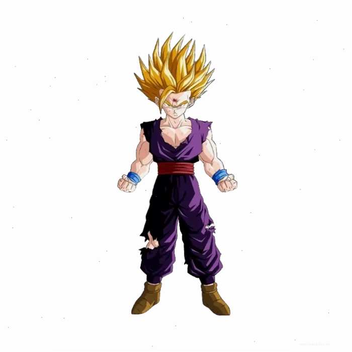 Son Gohan: Hành trình sức mạnh và những bí ẩn chưa lời đáp