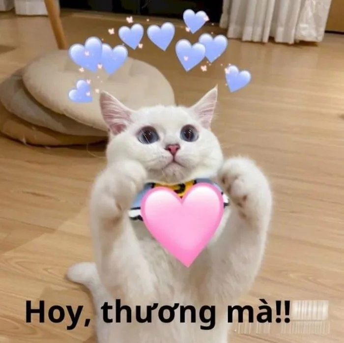 anh-meme-an-ui-3