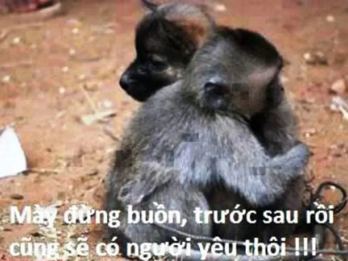 anh-meme-an-ui-30
