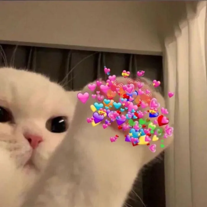 Ý nghĩa của meme bắn tim là gì? Cập nhật bộ meme thể hiện tình cảm siêu  đáng yêu và thu hút nhất