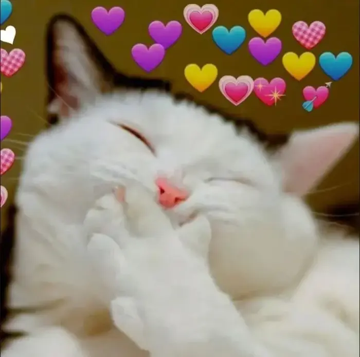 Bộ sưu tập ảnh meme bắn tim cực đẹp cho mọi tâm trạng
