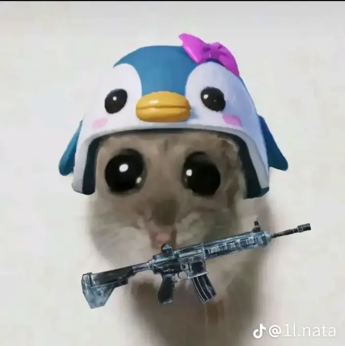 BST 48 ảnh Meme Mèo Cầm Súng, Chỉa Súng Vào Màn Hình hài hước troll bạn bè