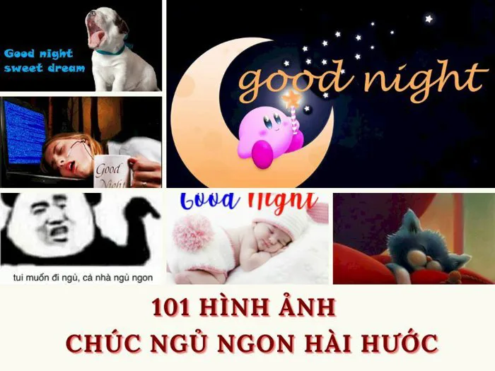 anh-meme-chuc-ngu-ngon-10