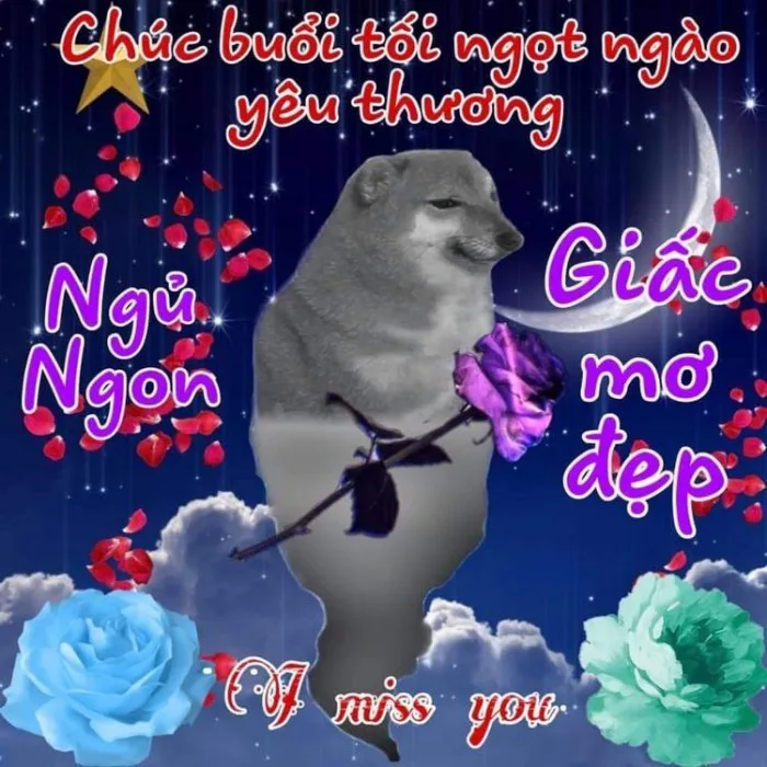 anh-meme-chuc-ngu-ngon-11