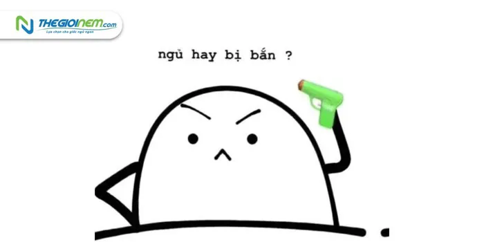 anh-meme-chuc-ngu-ngon-14