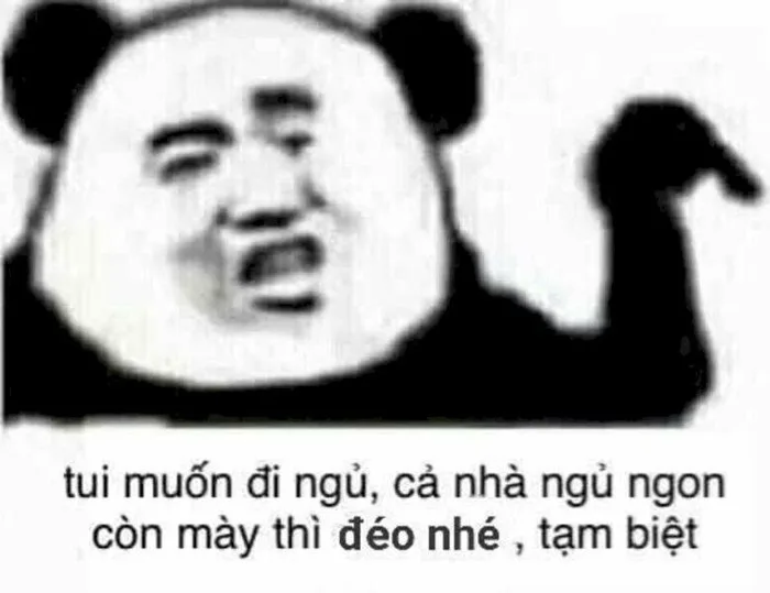 anh-meme-chuc-ngu-ngon-15