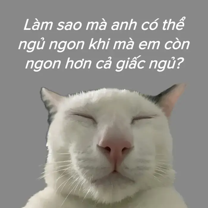 anh-meme-chuc-ngu-ngon-18